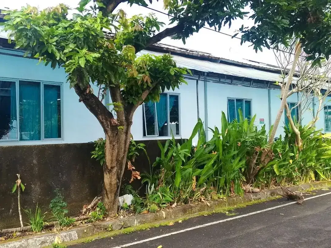 Gudang siap pakai Disewakan di Denpasar Barat. - Image 3 of 5