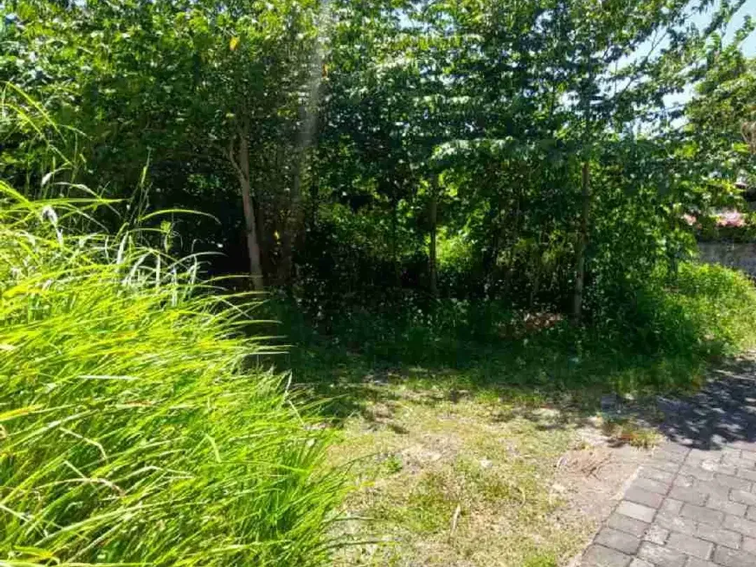 Tanah Leasehold Premium Sanur Area Denpasar Selatan Bali - Image 4 of 9