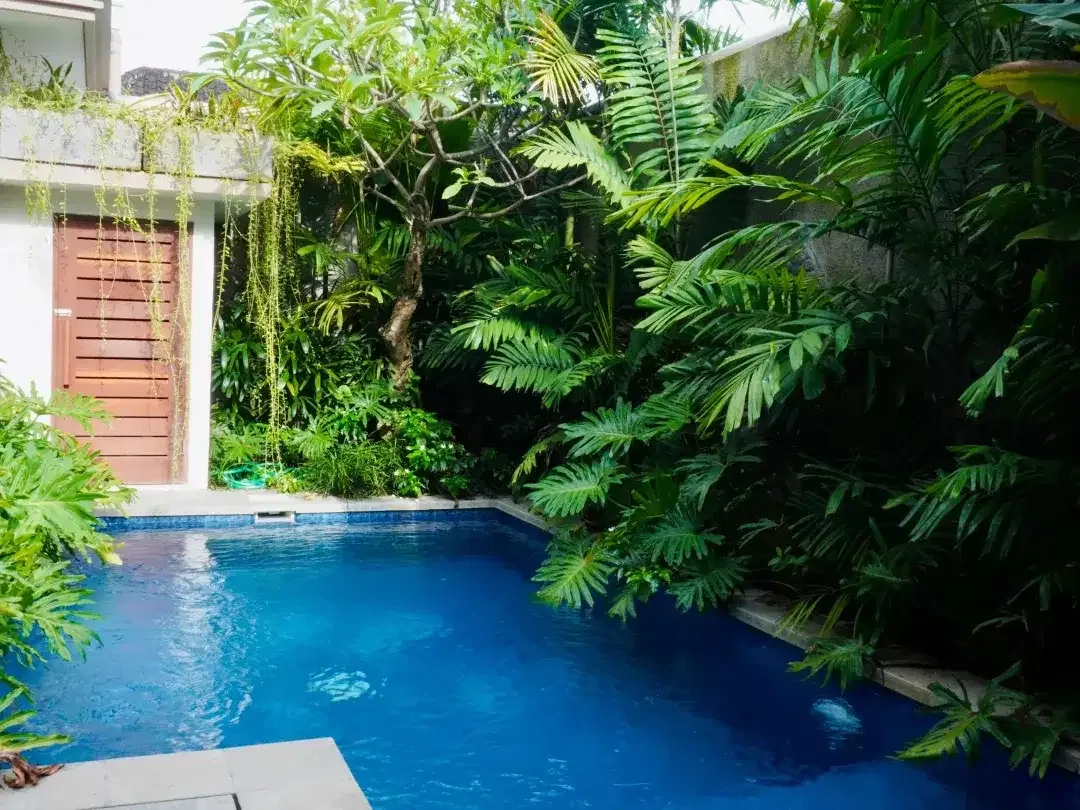 3 Bedroom Villa for sale in Denpasar Selata, Bali - Image 8 of 10