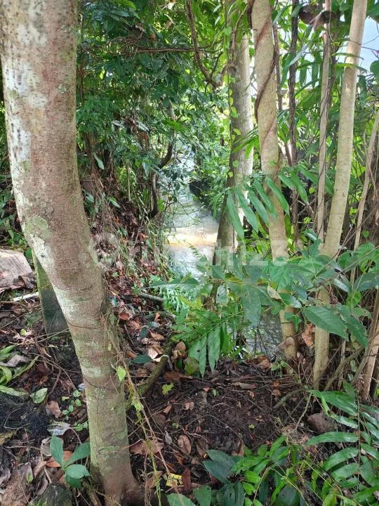 Tanah Los Sungai Strategis Dekat Munggu Selingsing Cepaka Tabanan - Image 4 of 4