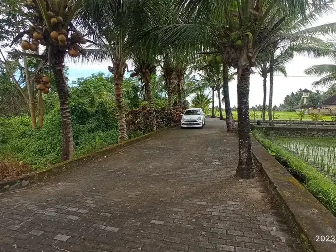 Tanah Kavling Luas Siap Bangun di Lokasi Strategis - Image 4 of 4