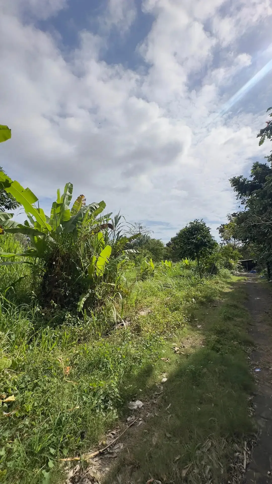Dijual Tanah Plot Kecill 200m2 di Kawasan Bingin Uluwatu Bali - Image 10 of 10