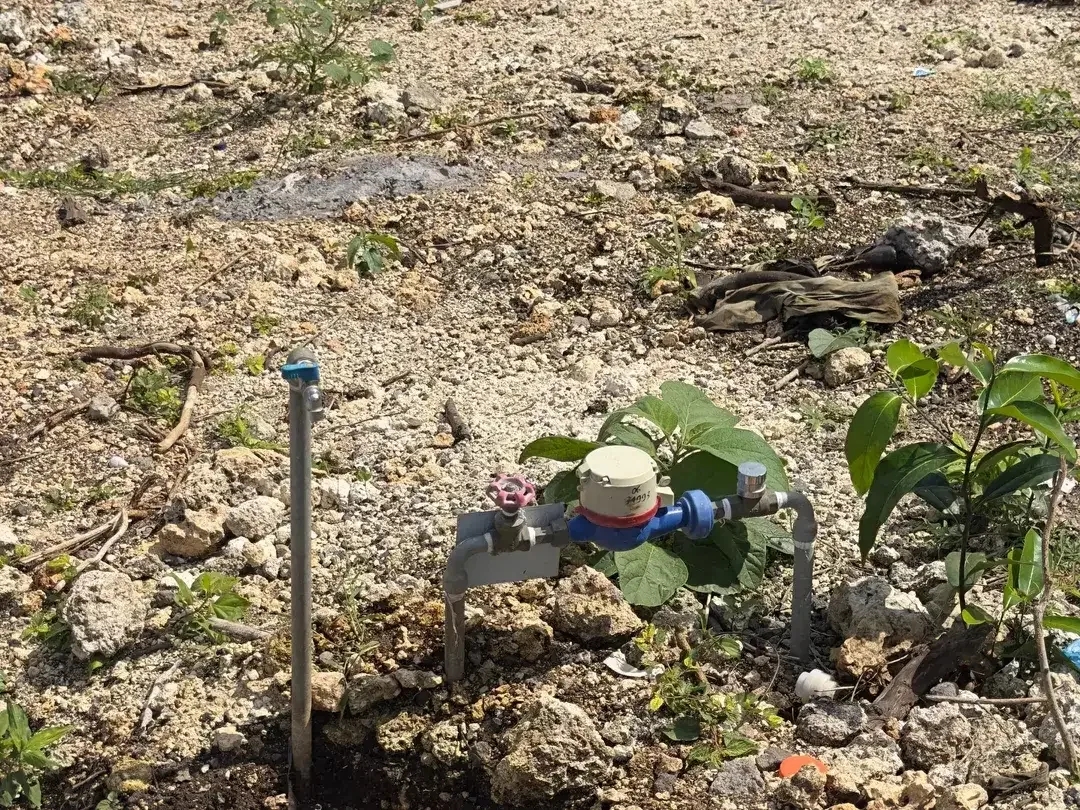 Dijual Tanah 250m2 Jungle View Zona Pariwisata Nusa Dua Bali - Image 9 of 10