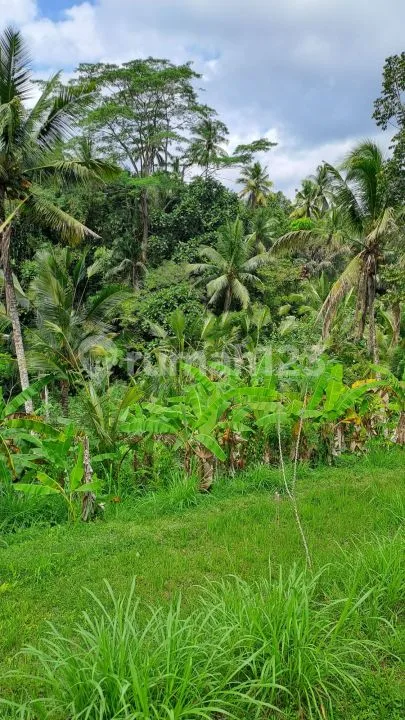 Jual tanah ubud payangan - Image 2 of 4