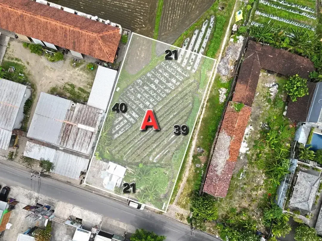 Tanah Pura Demak Denpasar Barat Bali - Image 4 of 10