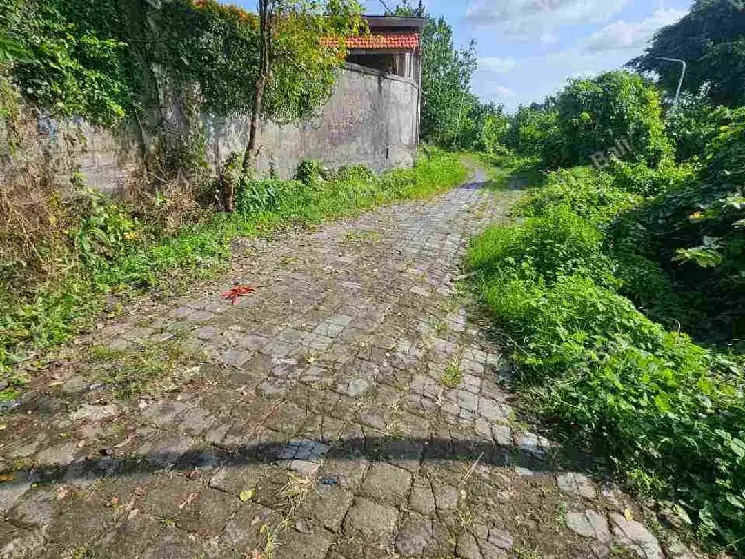 DIJUAL TANAH PANTAI PERERENAN - Image 7 of 10