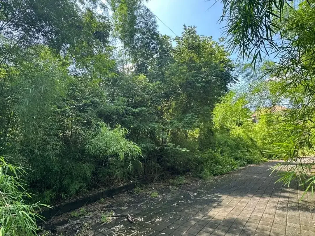 Dijual Tanah premium kawasan vila di Benoa, Kuta Selatan Bali - Image 6 of 7