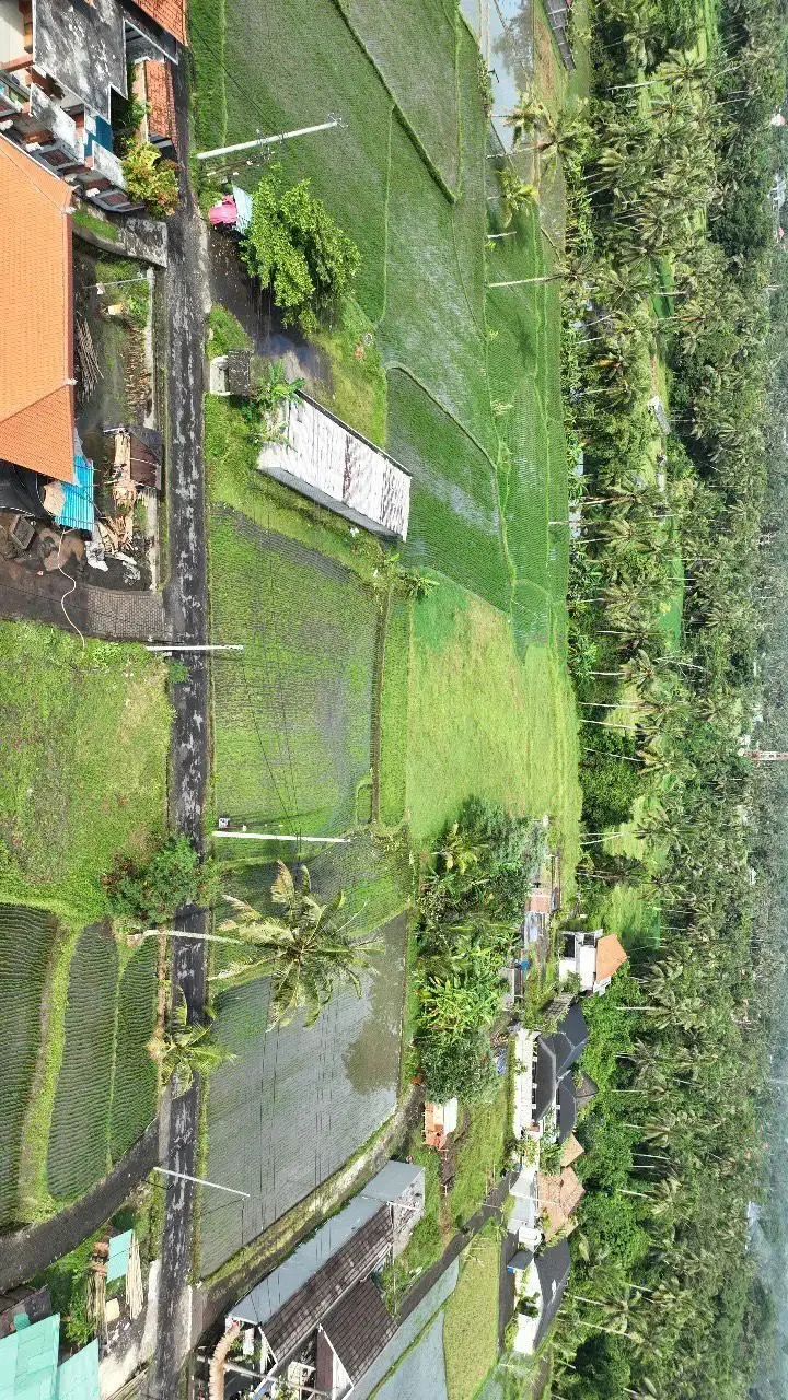 Tanah Siap Bangun View Sawah di Pejeng Ubud - Image 5 of 10