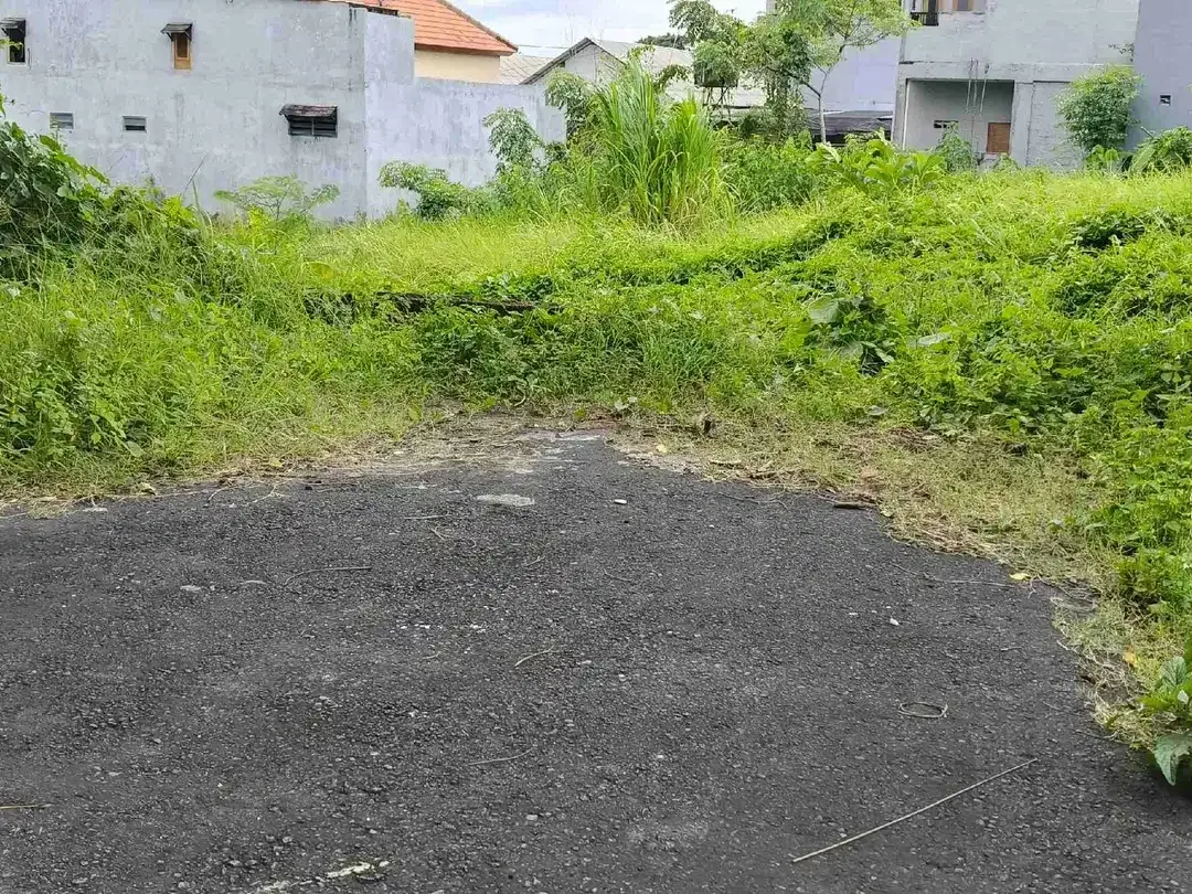 Dijual Tanah Lingkungan Perumahan Elite 
Lokasi Cokroaminoto Jl Bina Kusuma Ubung Kaja  Denpasar Utara  BALI - Image 4 of 9