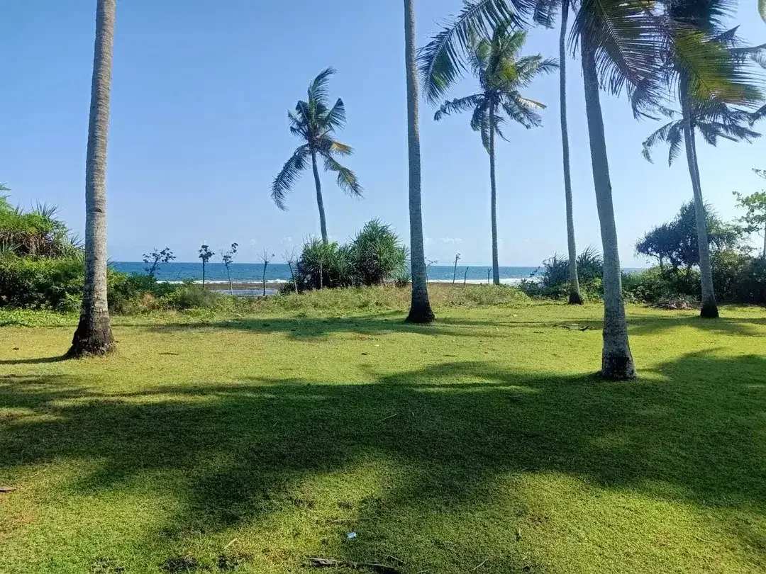 Beach front land di Perancak 30 menit ke pantai Medewi Bali - Image 5 of 8
