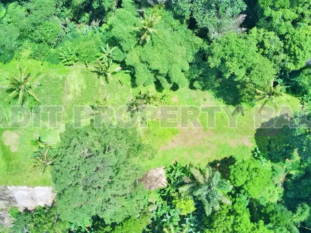 Tanah View Jungle & Sungai Payangan Ubud Gianyar Bali - Image 3 of 10
