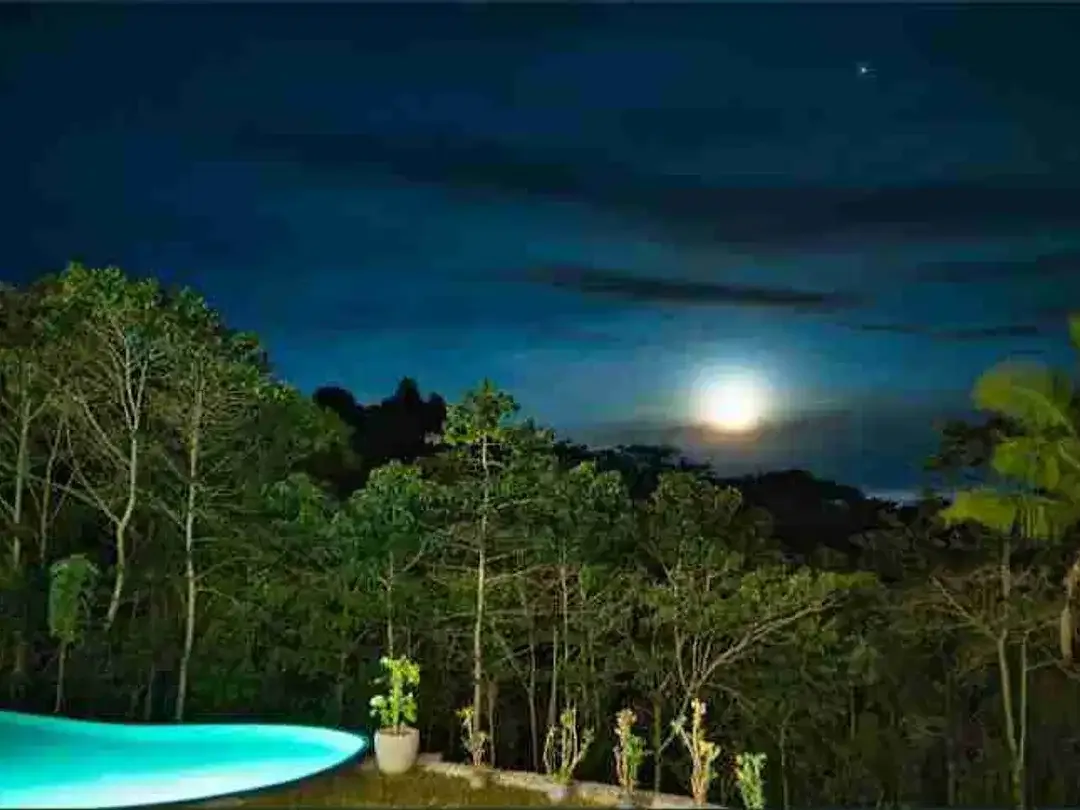 DIJUAL / FREEHOLD : Palendra Villas 5 Bed Jungle View & Mountain View at Payangan Ubud - Image 3 of 10