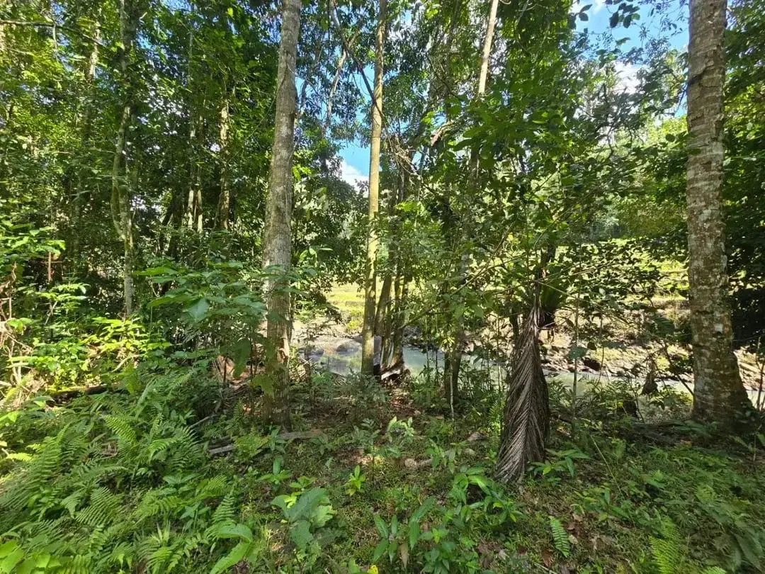 DIJUAL TANAH MURAH DI TABANAN - Image 6 of 10