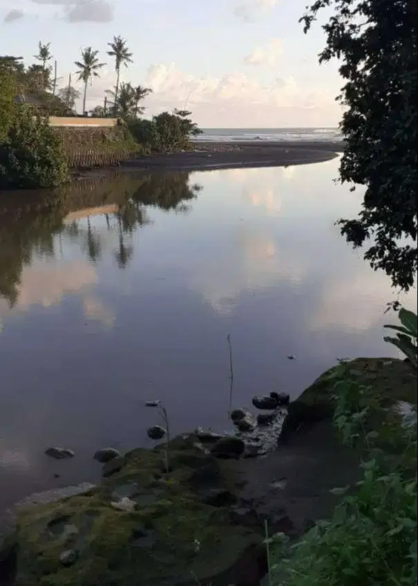 DIJUAL TANAH VIEW PANTAI NYANYI TABANAN - Image 2 of 8
