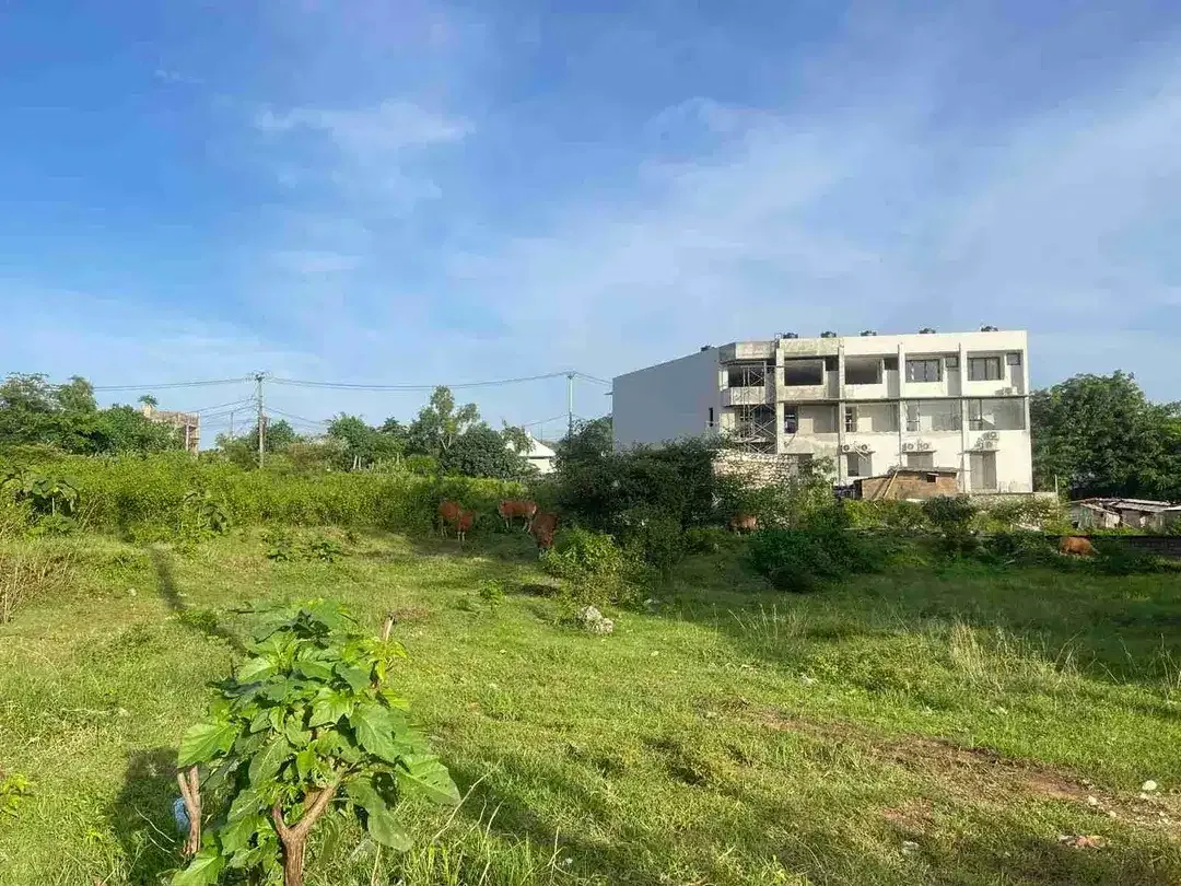 tanah plot kecil sangat langka cocok di bangun villa - Image 4 of 9