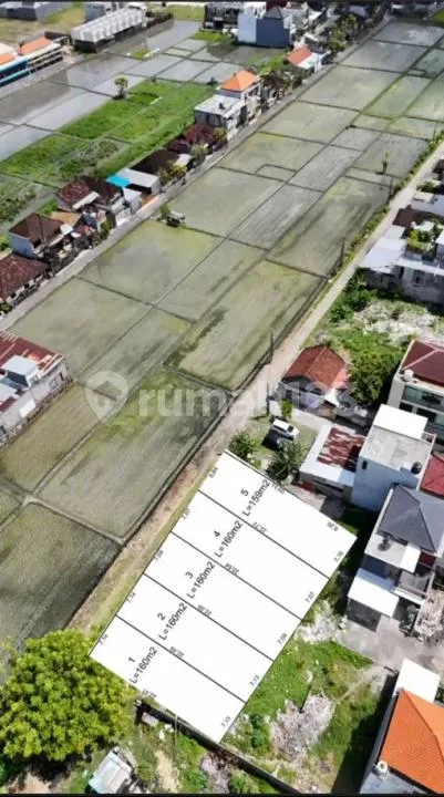 Land For Sale Pura Demak Denpasar Barat - Image 2 of 4