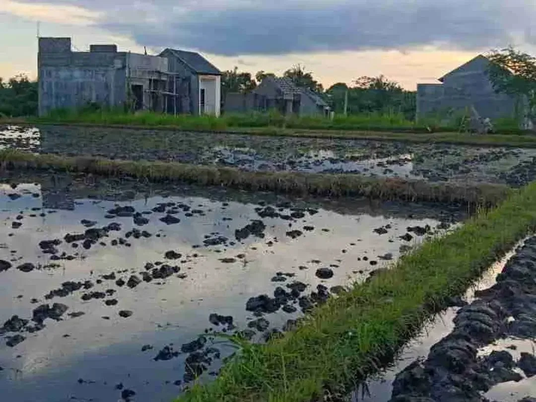 SALE!! TANAH SIAP BANGUN 6,76 HA KETEWEL IDA BAGUS MANTRA - Image 7 of 10