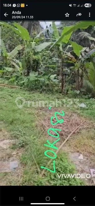 Tanah Termurah Mas Ubud Jalan Utama Zona Kuning - Image 1 of 4