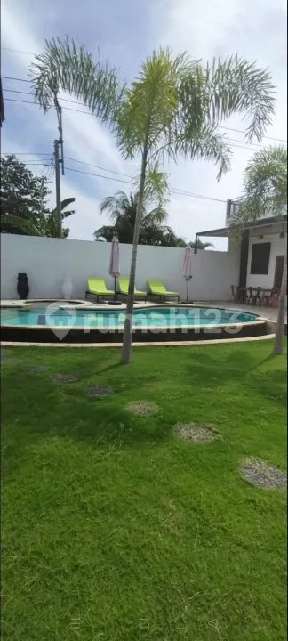 For Sale Villa Walking Distance To Central Lovina And Ricefild View And Moutain - Image 3 of 4
