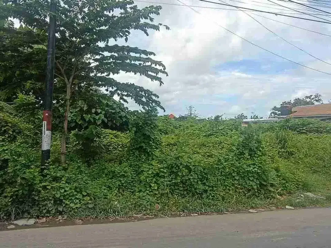 Tanah Komersial Lebar Depan 19 Meter di Pamogan - Image 1 of 10