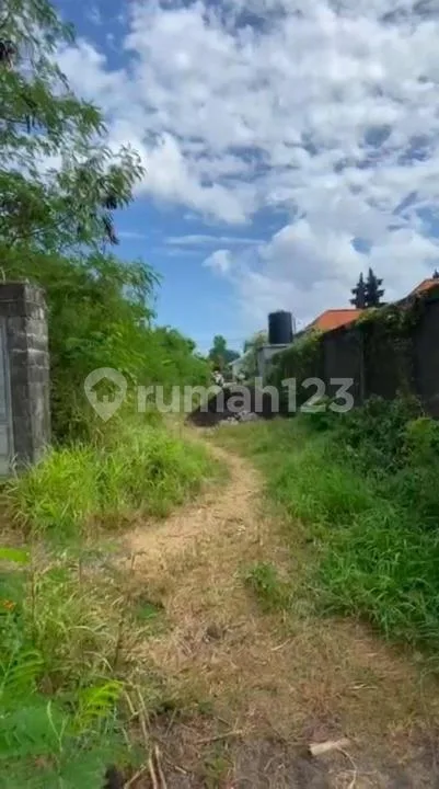 Los Tebing Zona Pink Padang Padang, Badung - Bali - Image 3 of 4