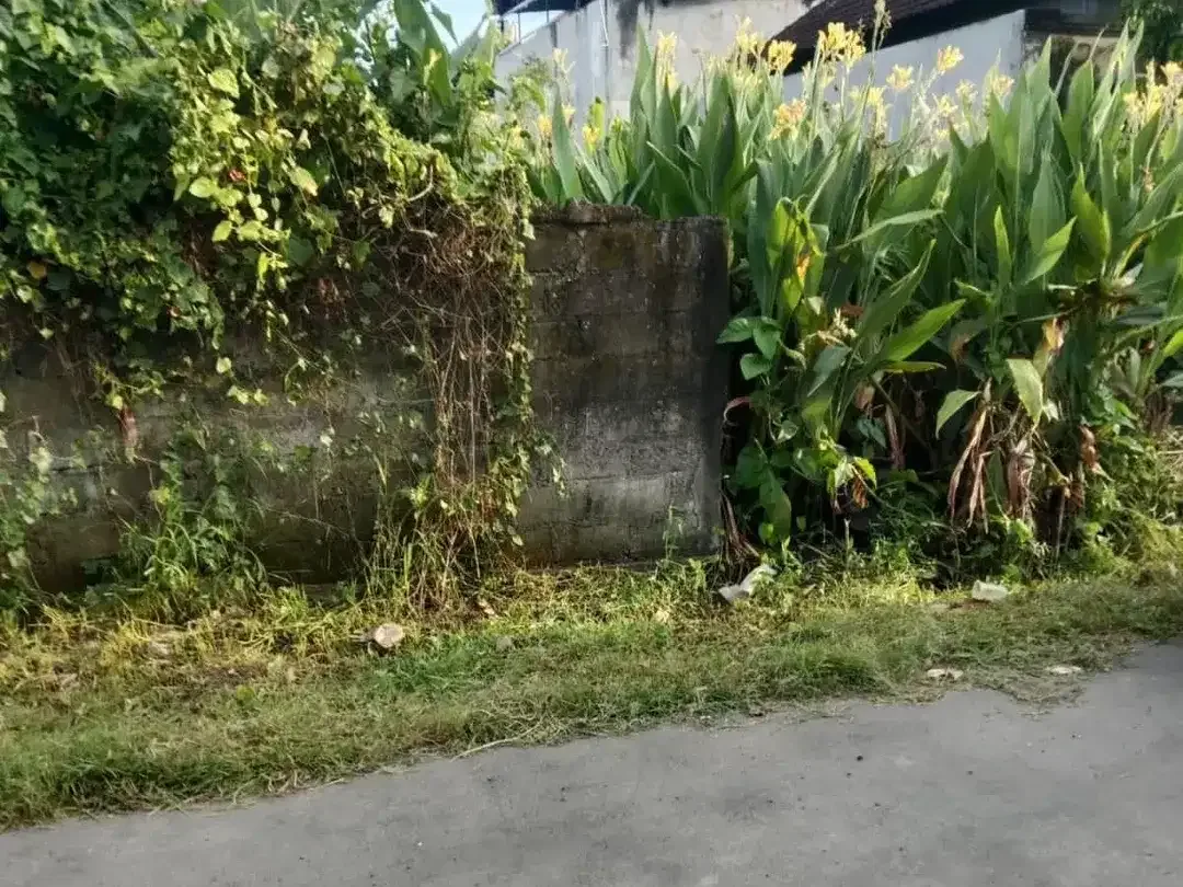 Tanah murah tukad badung renon - Image 2 of 5