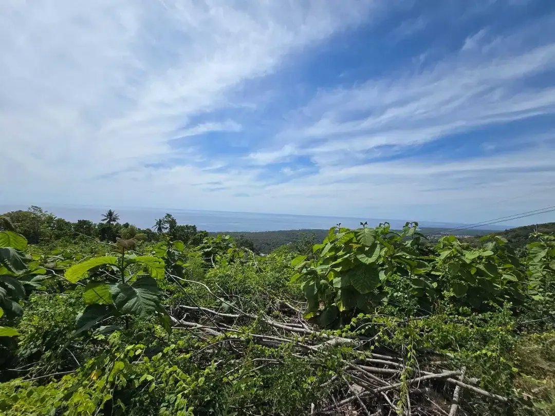 Dijual tanah view laut dekat rencana bali utara - Image 4 of 10