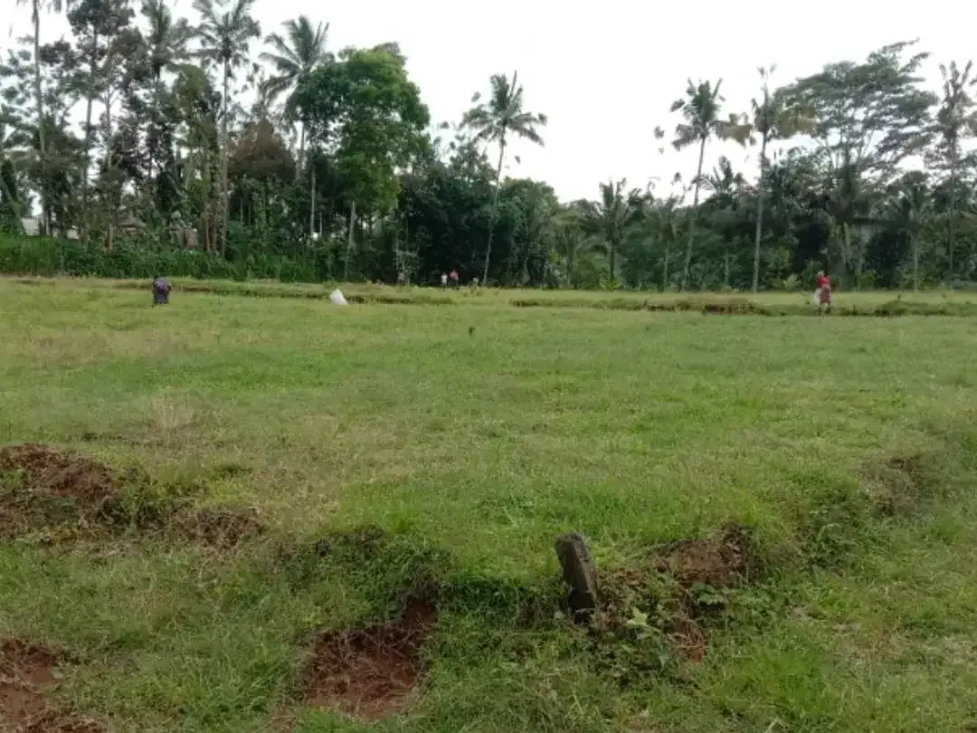 tanah siap bangun Tampaksiring Gianyar Bali - Image 3 of 7