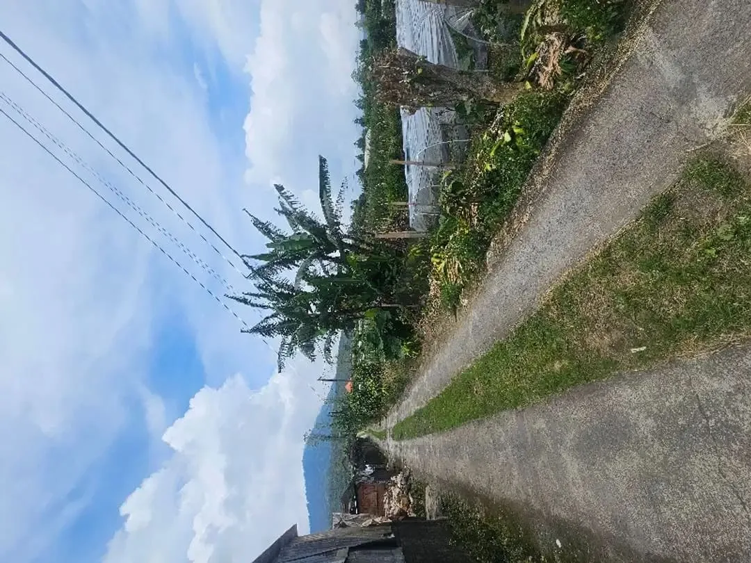 Tanah kebun zona residen cocok untuk investasi dan billa - Image 9 of 9