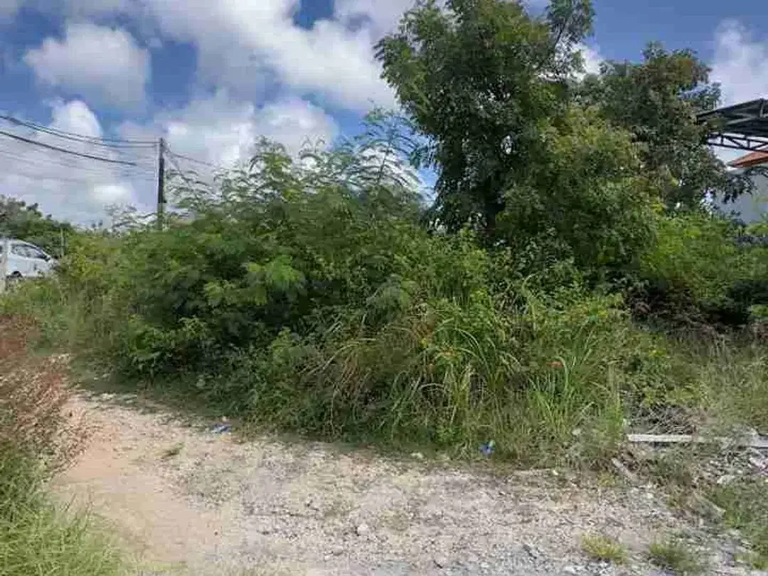 JUAL CEPAT TANAH Luas 255m Jl Utama Gubug Sari Kutuh Zona Kuning area Strategis Investasi.ta1 - Image 4 of 10