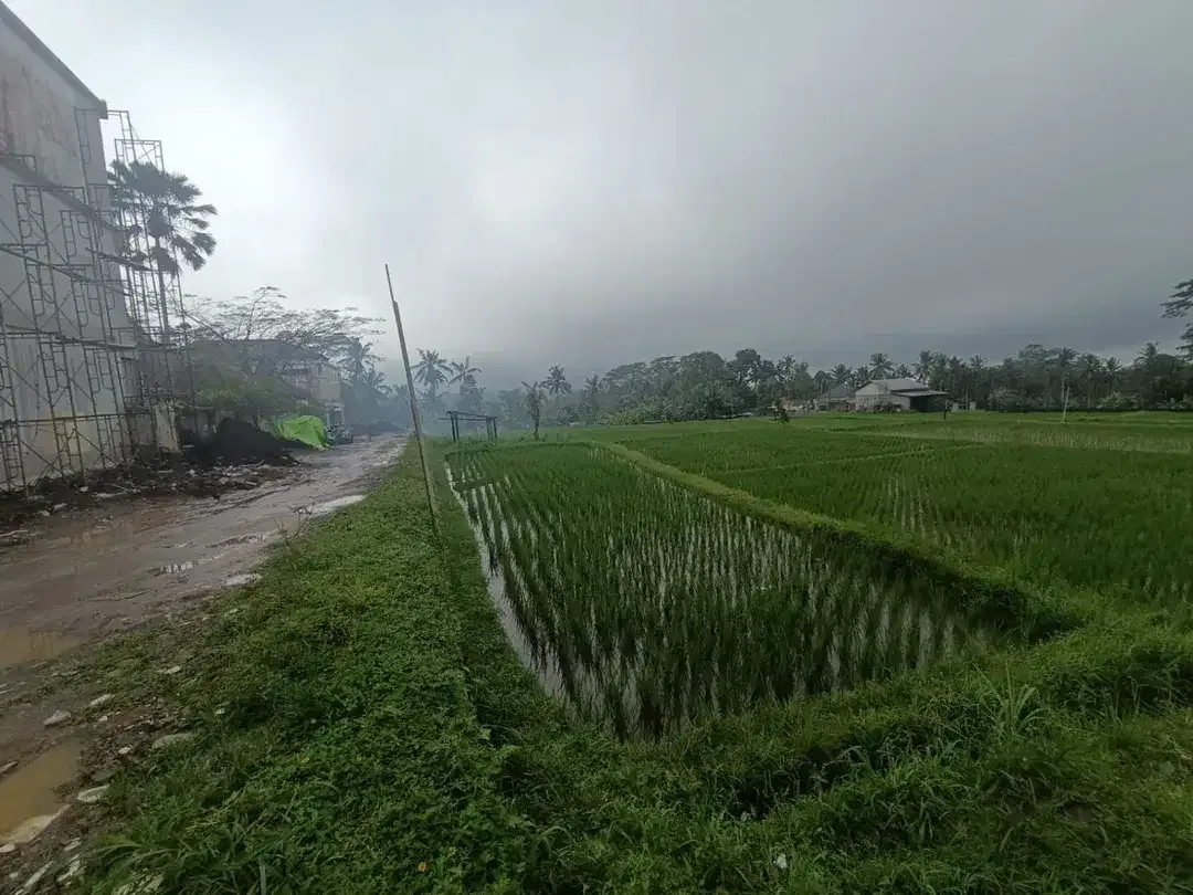 Tanah kavling besar 6,6 Hektar di Payangan, Ubud - Image 5 of 9