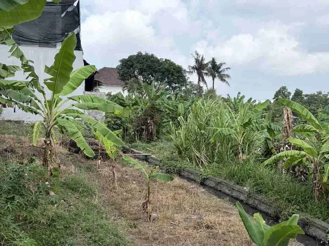TANAH MURAH JALAN PANDU DALUNG PERBATASAN PADONAN CANGGU SIAP BANGUN, COCOK UNTUK GUESTHOUSE HOMESTAY VILLA - Image 3 of 7