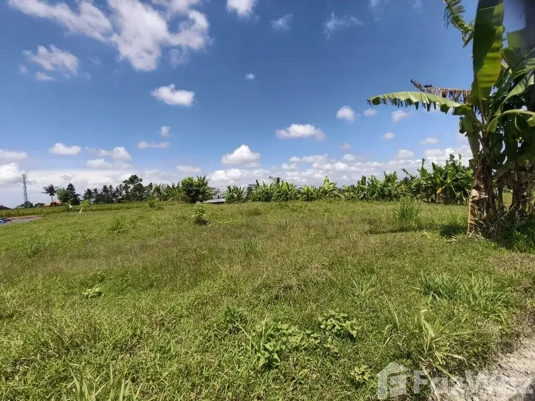 Land for sale in Tegallalang, Bali - Image 4 of 9