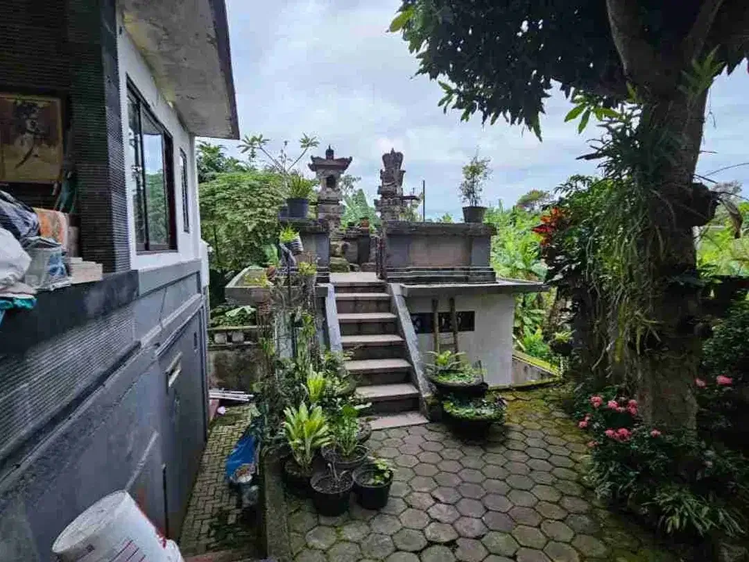 Rumah Pemandangan Sawah Asri Siap Huni - Image 2 of 10