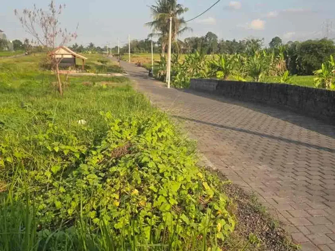 Tanah Kedungu view sawah dkt Jalan utama bisa 2-3 unit villa - Image 2 of 6
