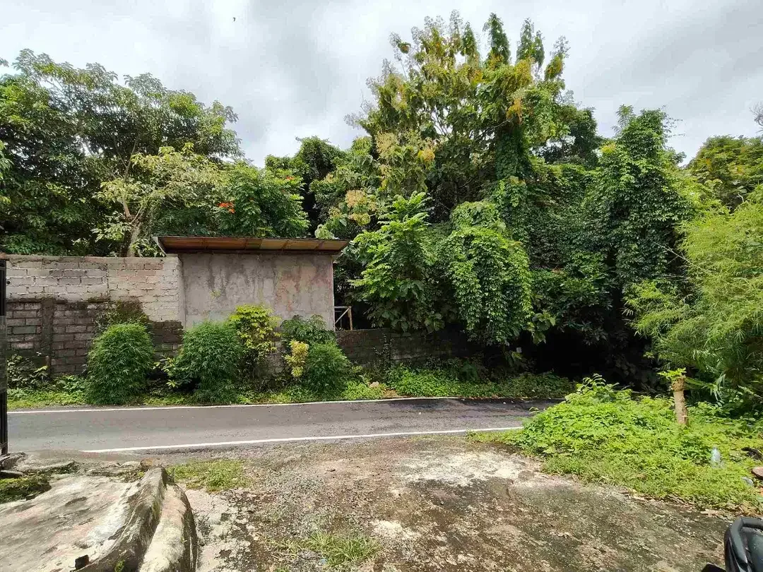 Yellow Zone Land close Nirmala Ungasan and Main Road Balangan Beach - Image 4 of 6