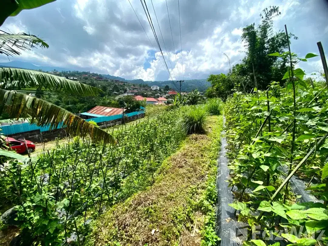 Land for sale in Baturiti, Bali - Image 4 of 6