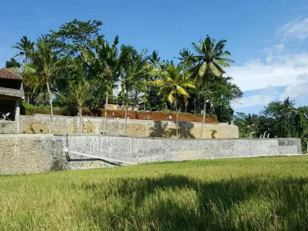 Tanah 2.549 m² Dijual di Tampaksiring, Tegallalang, Gianyar - Image 3 of 10