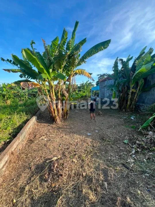â Dijual Tanah Strategis - Jl. Raya Angantaka, Sibang Gedehanya 100 Meter Dari Jalan Utama - Image 2 of 4