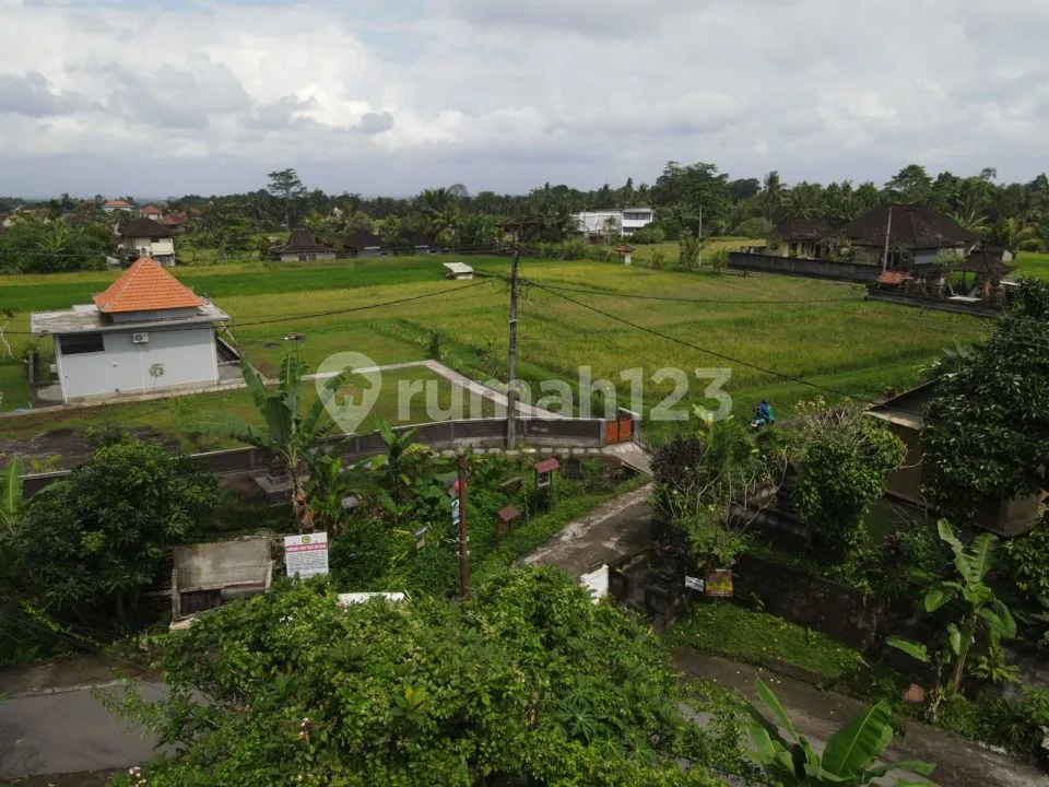 Commercial land sale 1000m² - Kelusa Ubud Bali - Image 4 of 4
