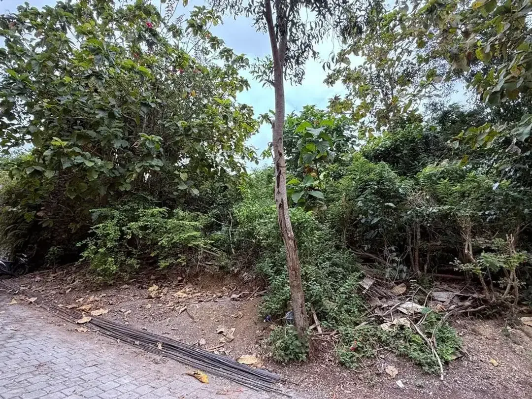 Freehold - Prime Ocean View Land for Sale in Labuan Sait, Pecatu, Uluwatu, Bali - Image 1 of 4