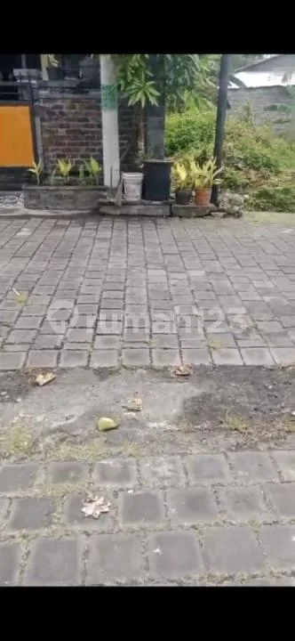 Dijual Rumah 650Jt di Jln Keboiwo Utara Denpasar Bali - Image 3 of 4