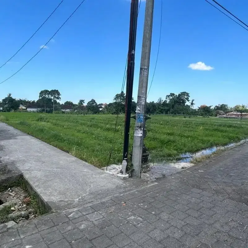 tanah murah zona kuning di buduk prerenan - Image 4 of 5