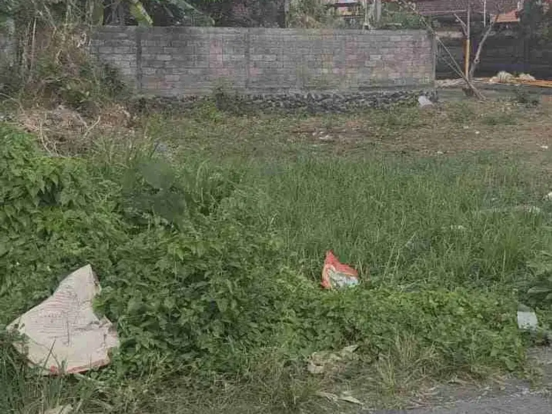 tanah buduk - Image 9 of 9
