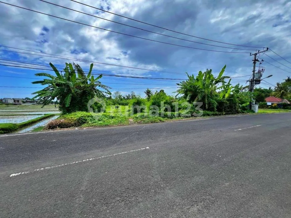 Jual Tanah Premium di Kebo Iwa, Denpasar Barat - Image 2 of 3