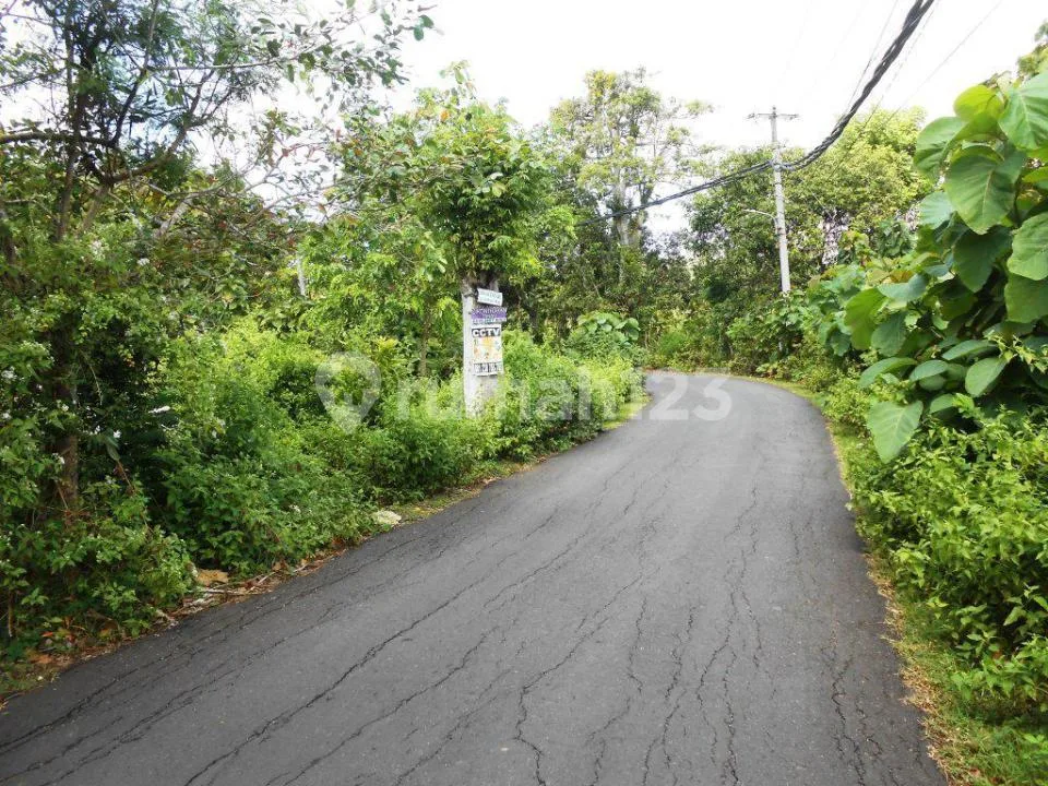Tanah 23 Are di Jalan Utama Pantai Balangan Cocok untuk Villa - Image 3 of 4