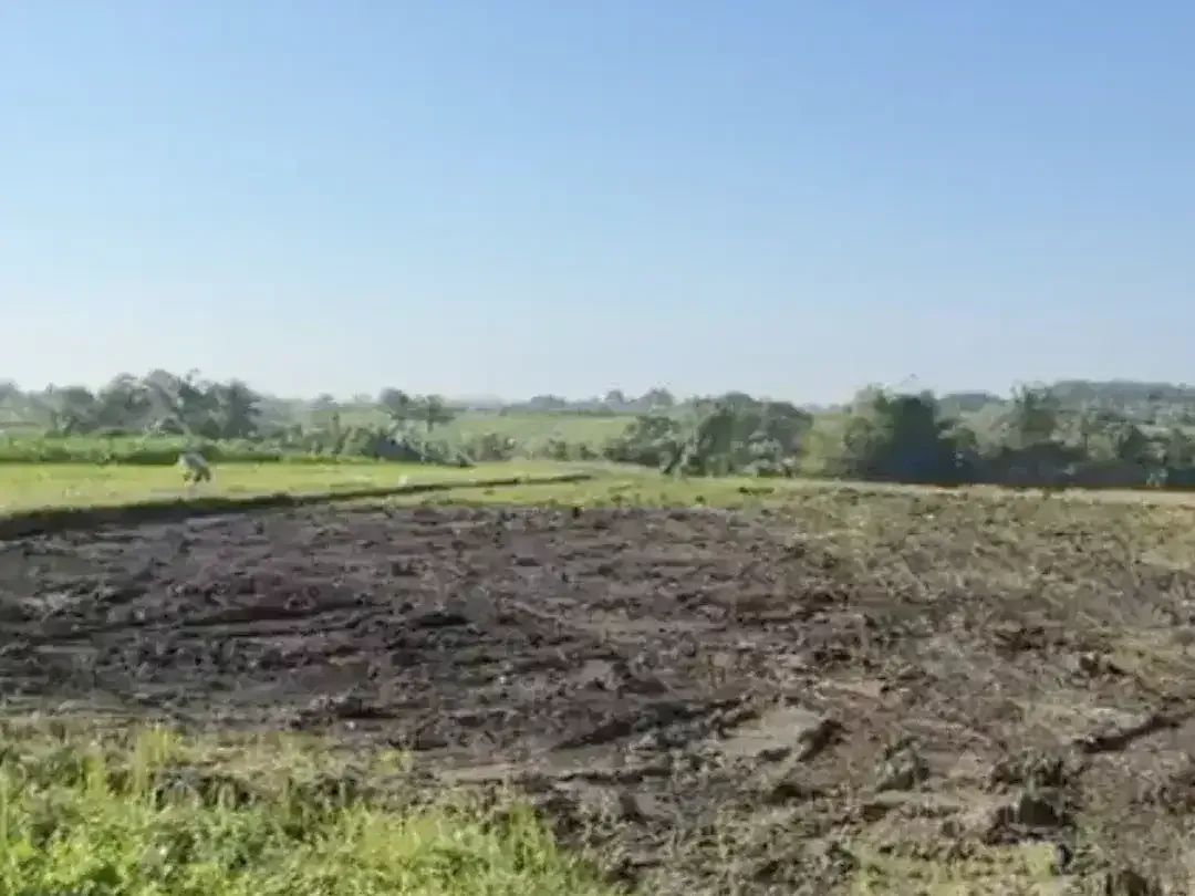 Land for sale in Kerambitan, Bali - Image 4 of 5