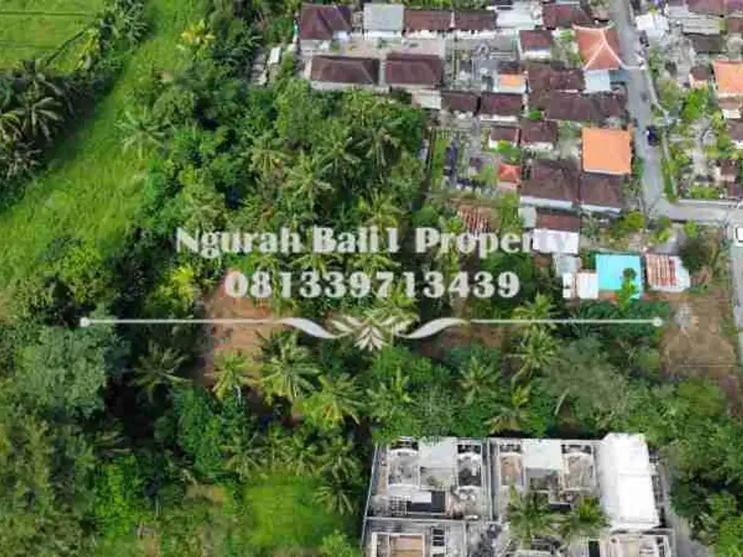 Tanah Premium Disewakan Luas 5664 m2 View Sawah Kawasan Villa di Sayan Ubud - Image 2 of 7
