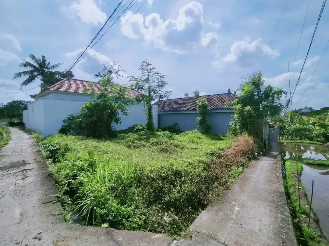 Scenic 2 Are Leasehold Land in Ubud with Rice Field View - Image 3 of 10