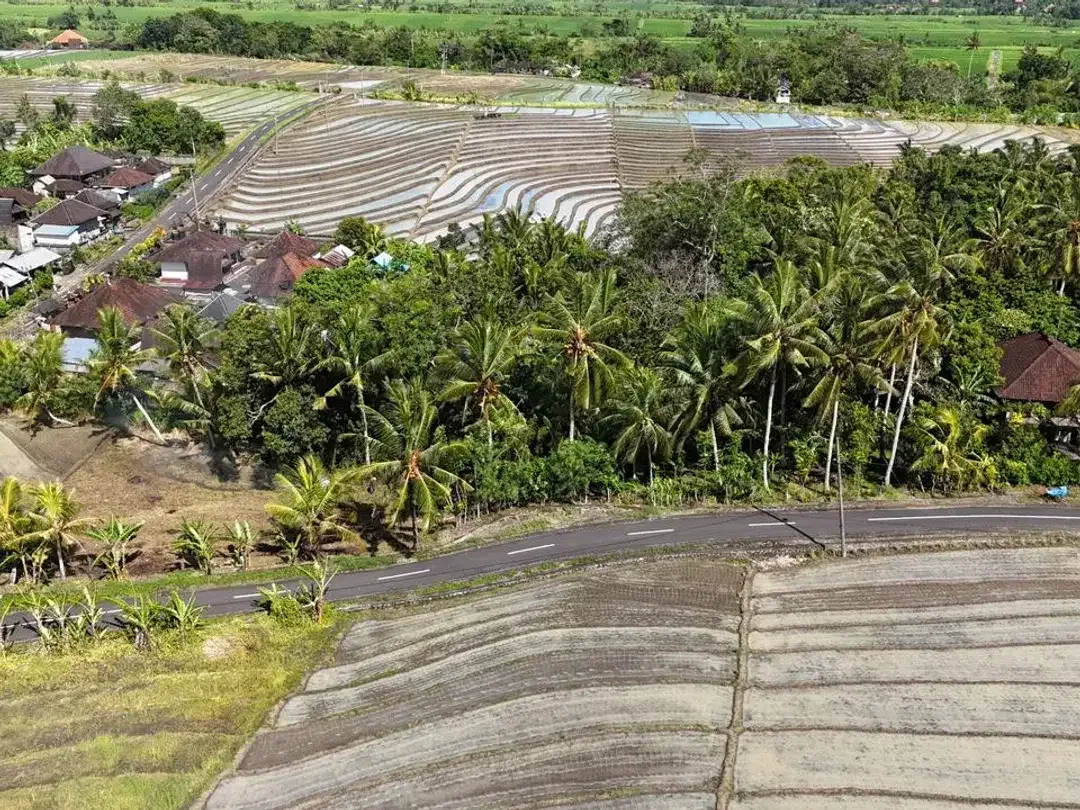 Tanah beraban tabanan bali - Image 4 of 10